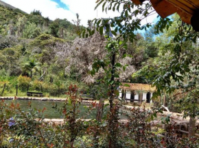 Manantial Molinos de la Mesopotamia